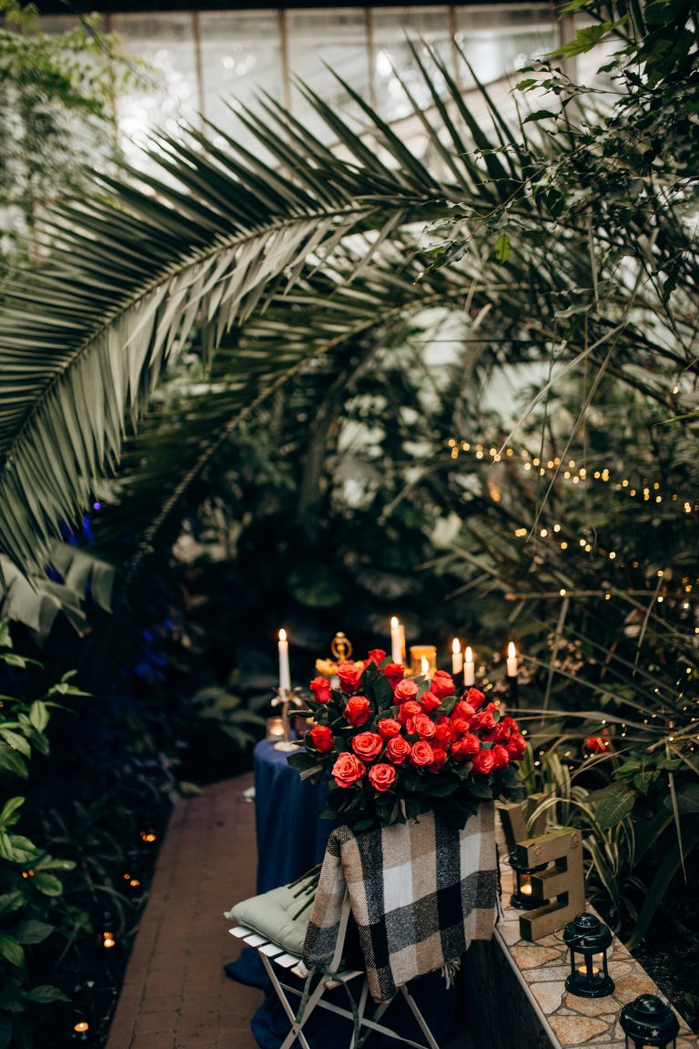 Романтична вечеря на даху у Києві romantic.ua